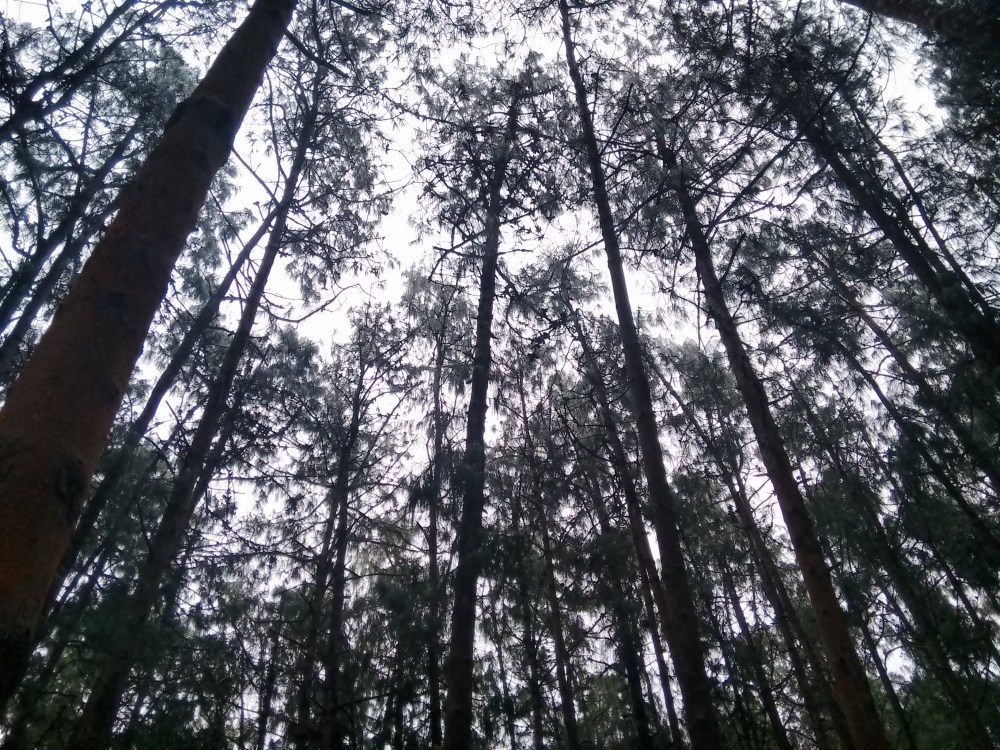 IMG_20151213_134049136