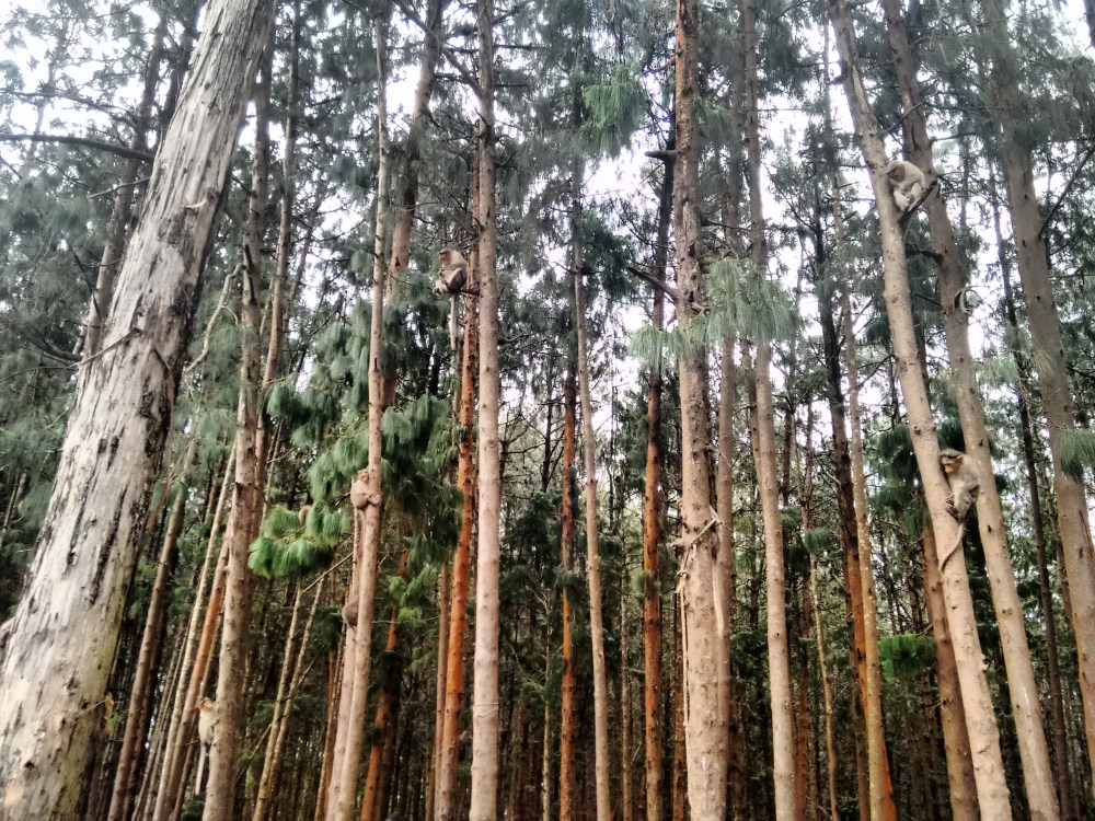 IMG_20151213_134436178