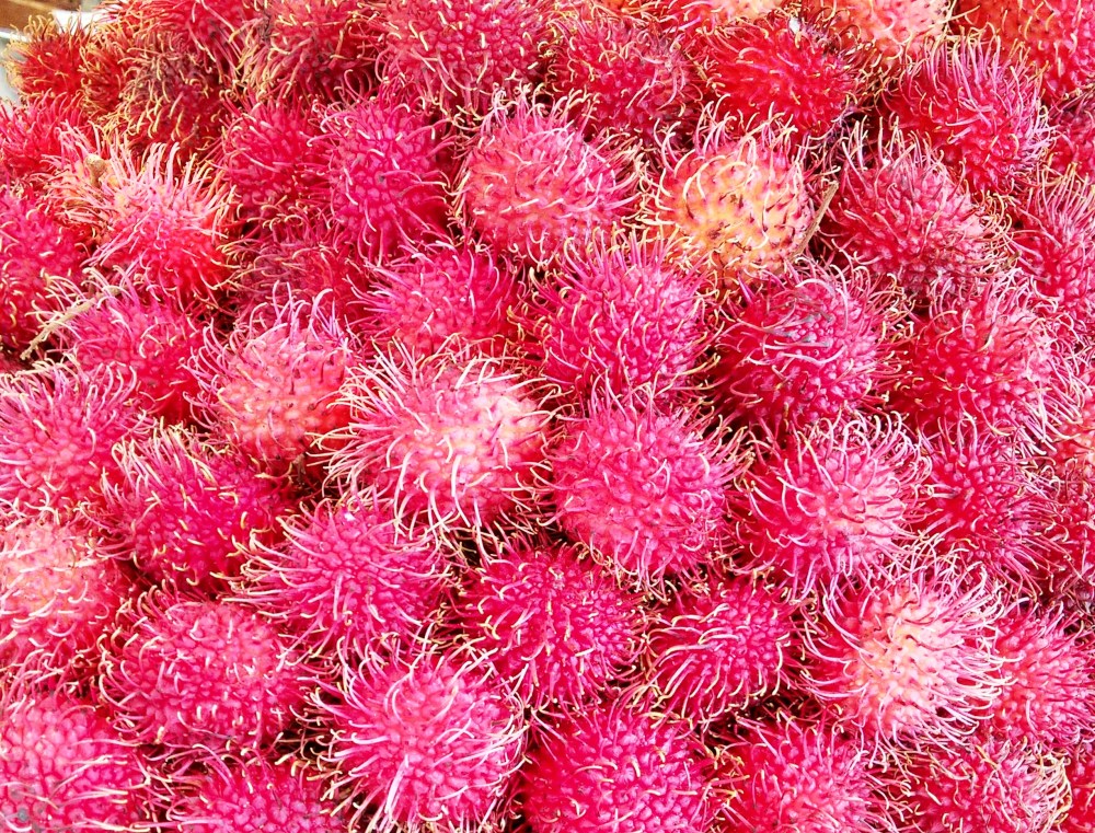 IMG_20150731_120013611_HDR