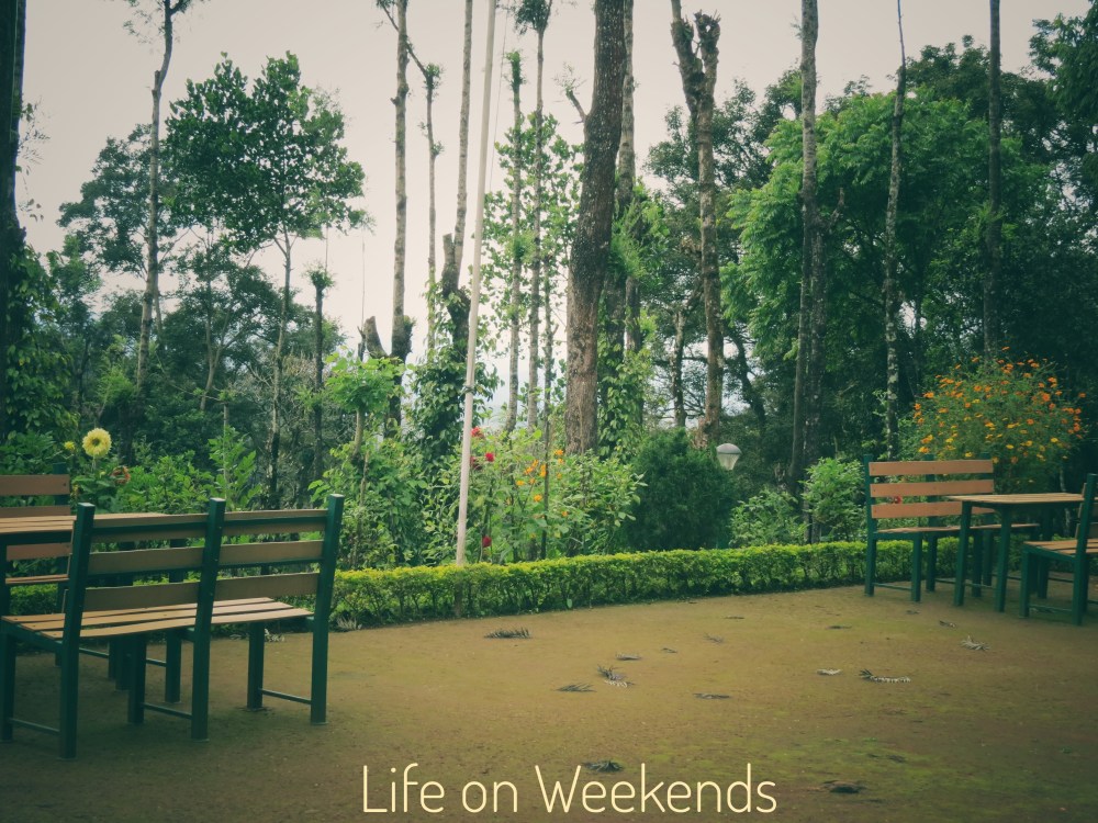 Munnar, Kerala at Life on weekends.com