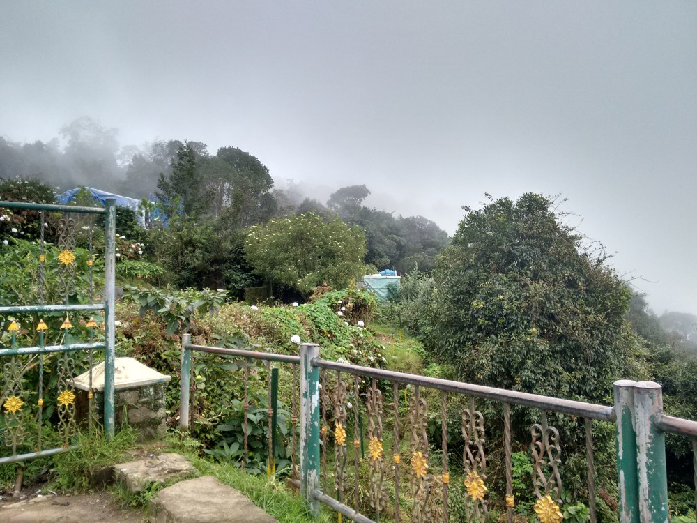 Pillar rock, Kodai Kanal 