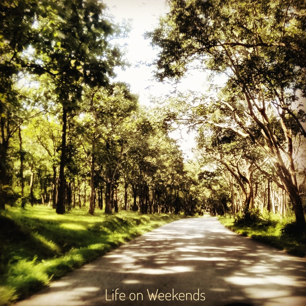 Bandipur National Park @ Life on Weekends