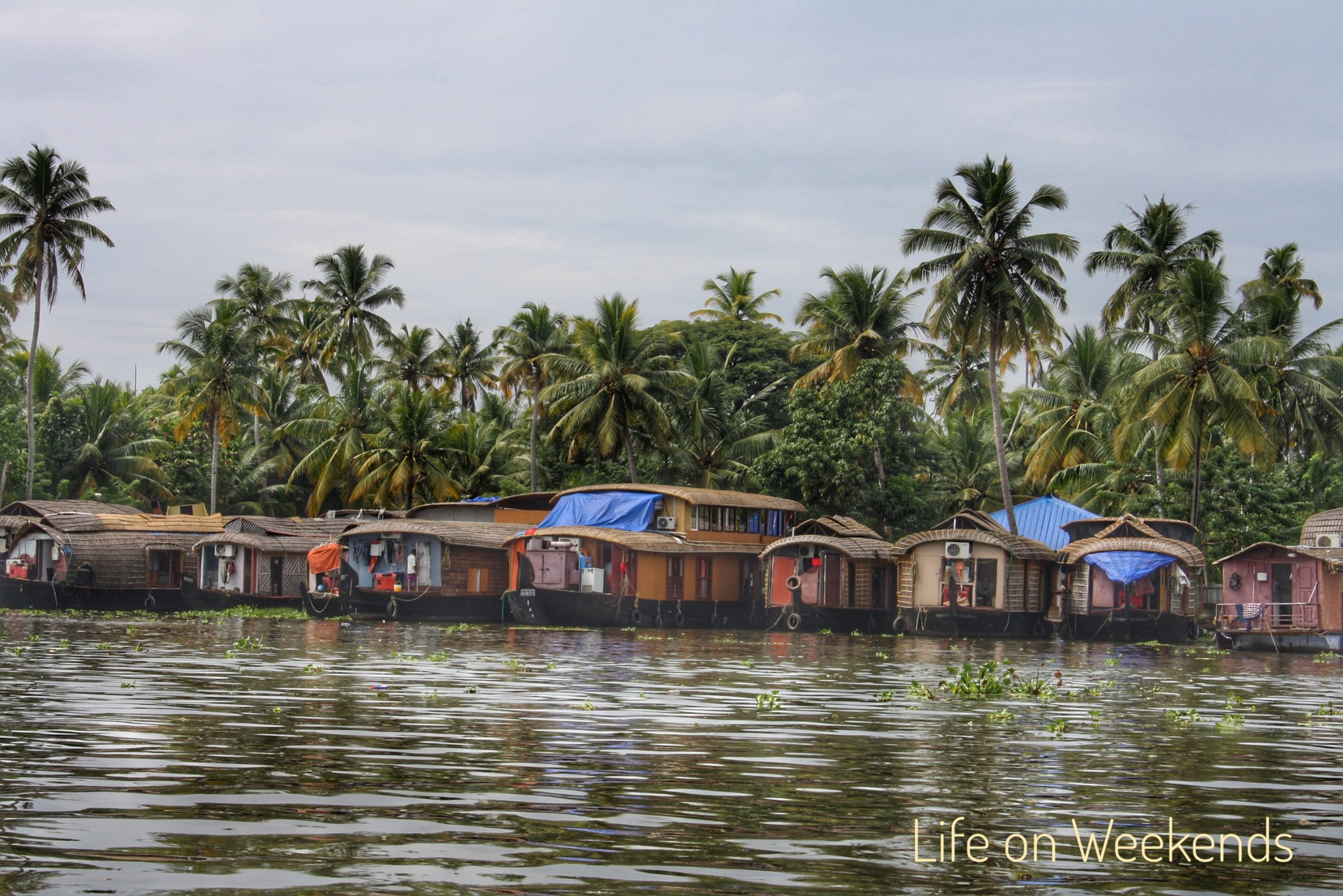 Alleppey backwaters, Kerala
