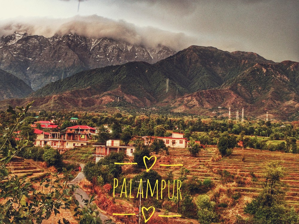 Palampur - the tea capital of North India @life on weekends