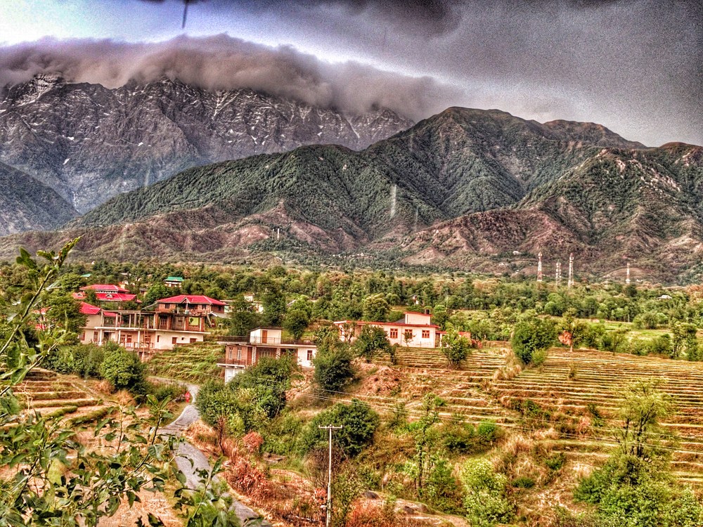 Palampur, Himachal @Life on Weekends