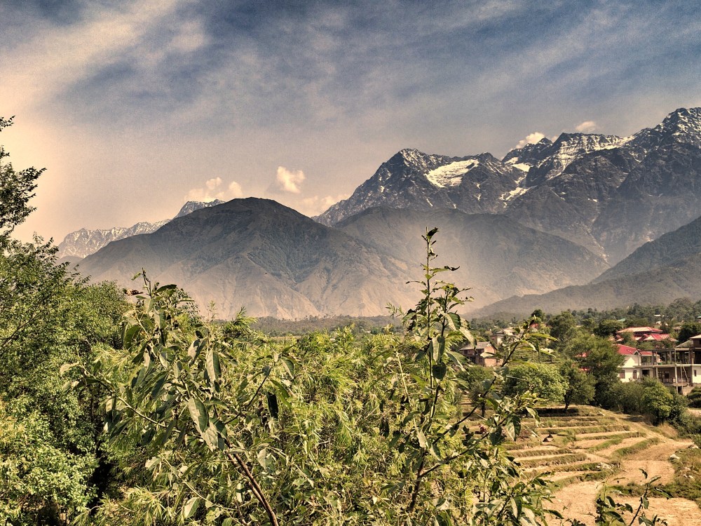 Palampur, Himachal @Life on Weekends