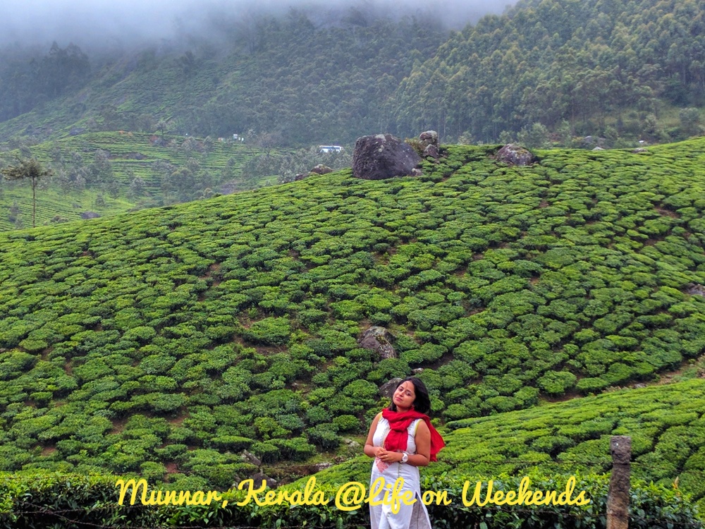 Munnar @ Life on Weekends