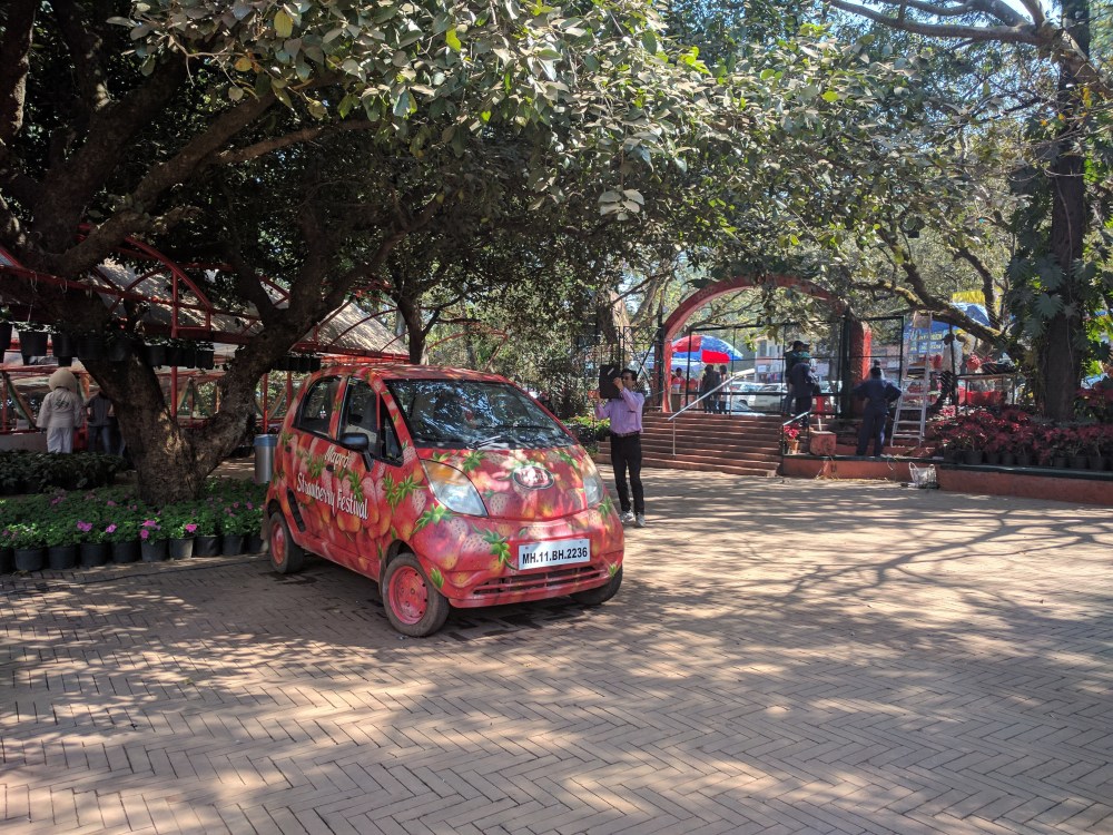 Maroon strawberry farms, Panchgani, Mahabaleshwar @Life on Weekends
