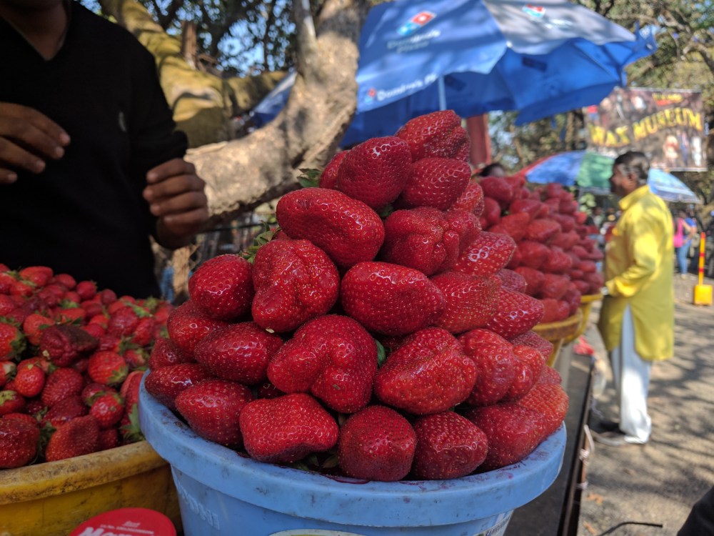 Strawberries, Panchgani, Mahabaleshwar, Maharashtra @Life on Weekends