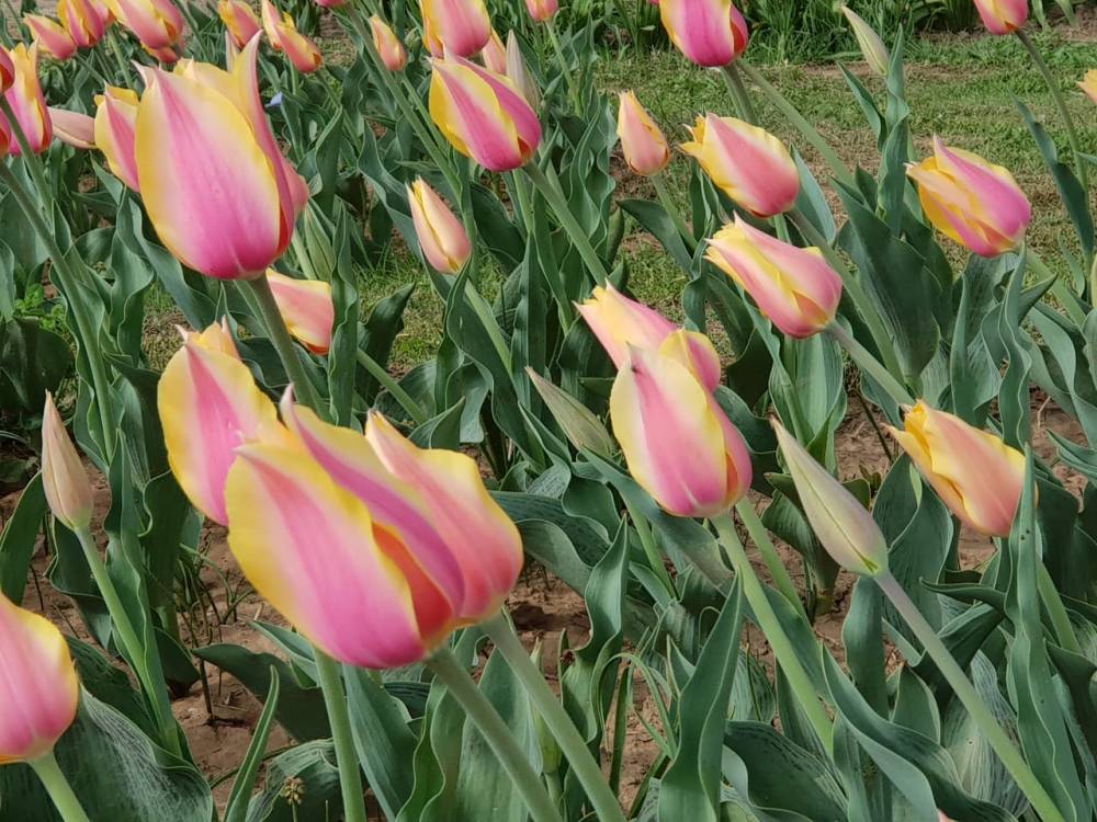 16957DE9-2F86-433D-AD88-42209B425DB9