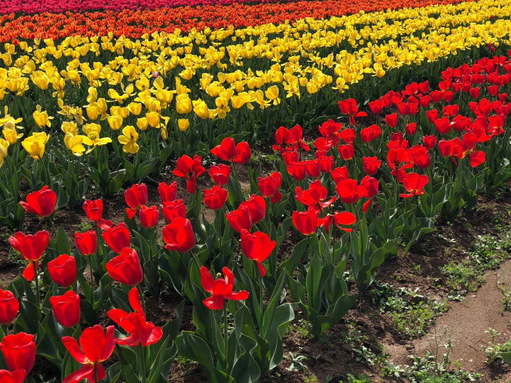 260CC793-844D-4FEC-B40A-4BC996D10979