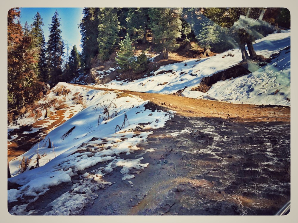 7342D7E1-B822-4645-A101-76D0F6CDDF5E