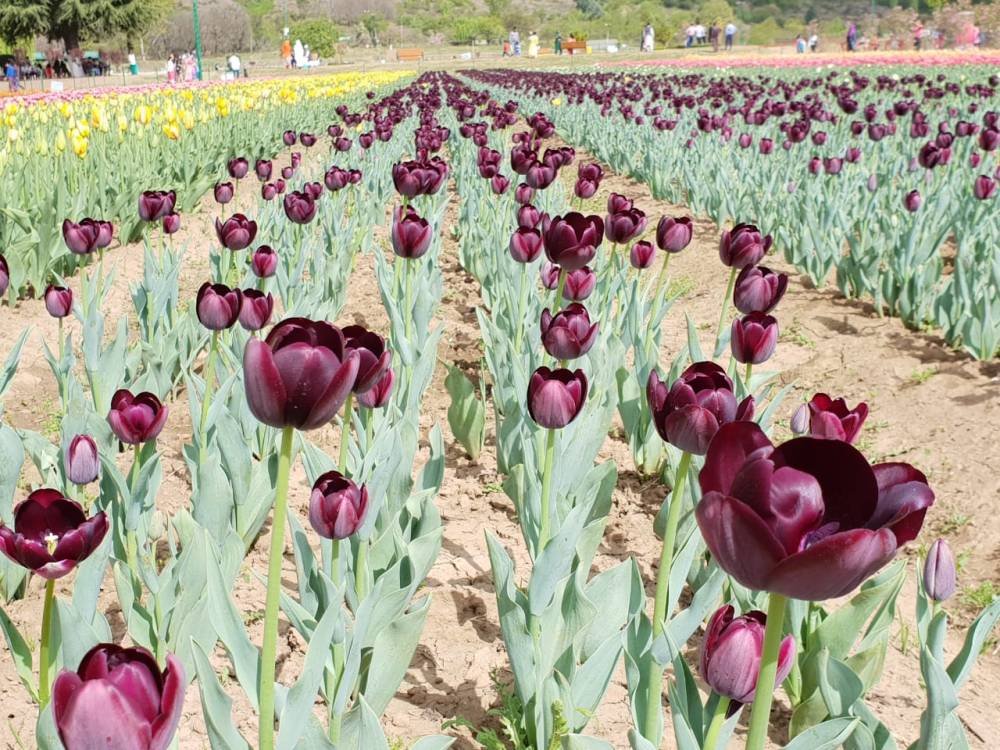 DEC163BA-06D7-408D-AEE7-9A17C4F1B47E