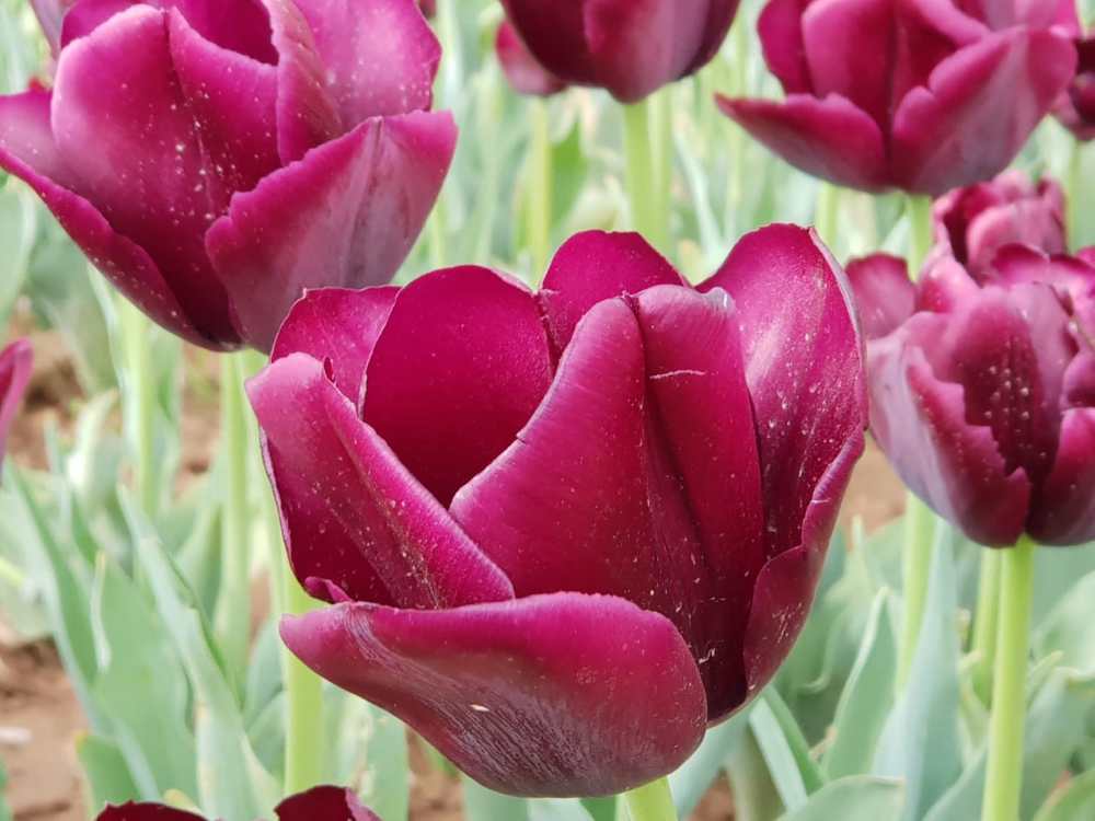 ED22737D-E1DF-44D4-B42F-055B0B7EA4CB