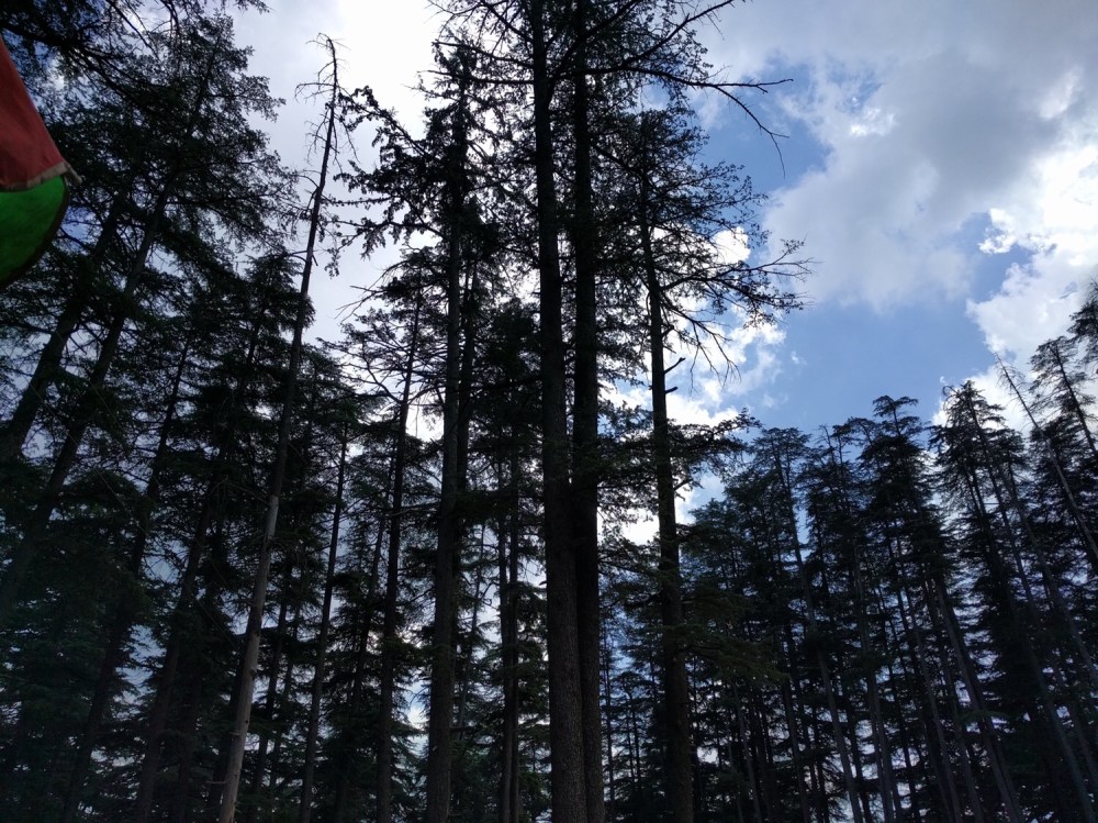 Naldehra, Shimla