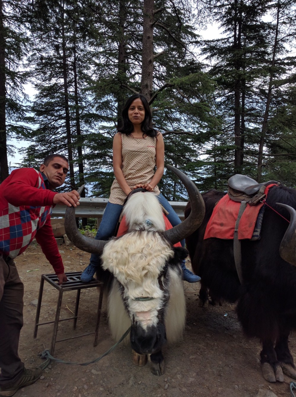 Chail Palace, Shimla