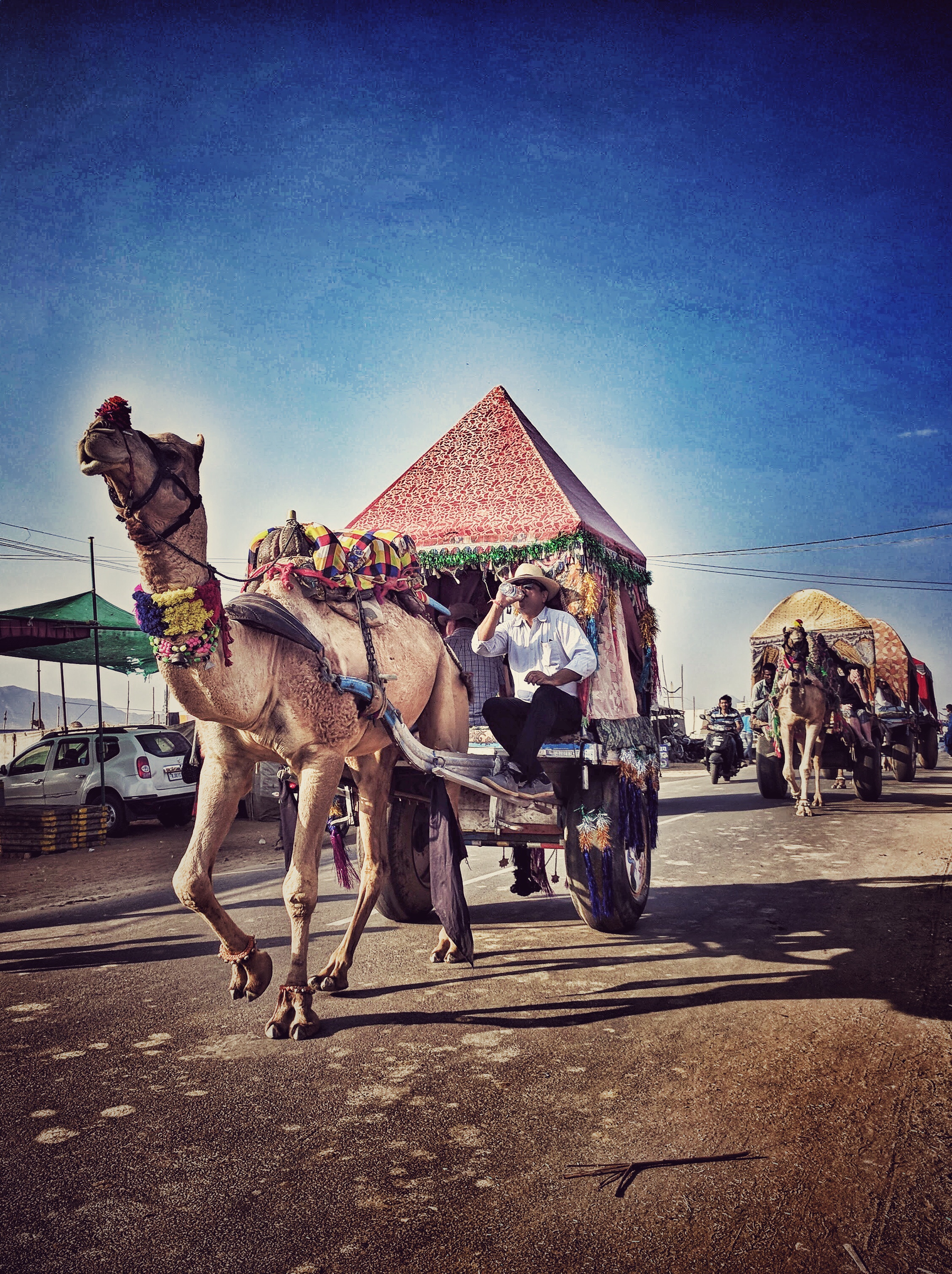 Pushkar Animal Fair, Rajasthan 